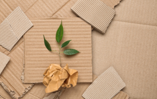 Recycled paperboard sheets on display